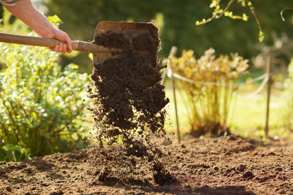 Don’t “Bury” Your Talents – Seize This Opportunity!