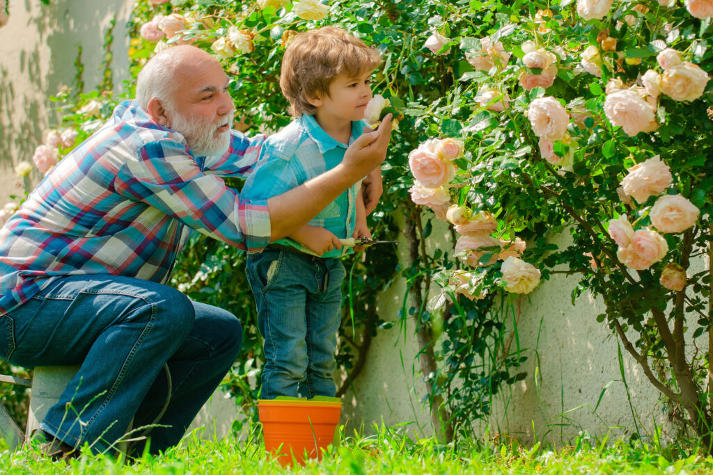 Options for Long-Term Care Planning